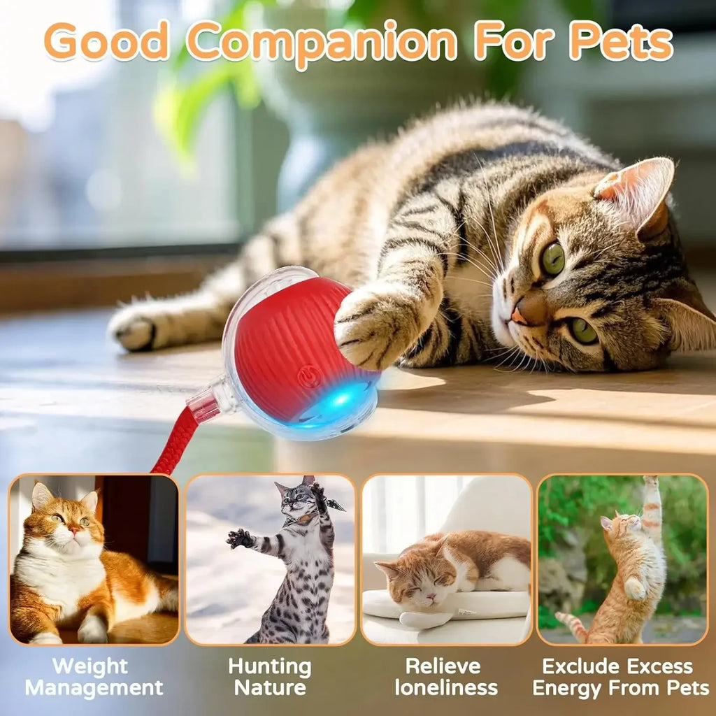 The Automatic Cat Toy detail