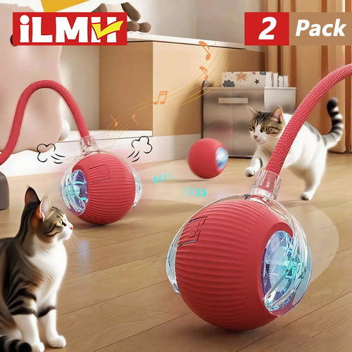 The Automatic Cat Toy