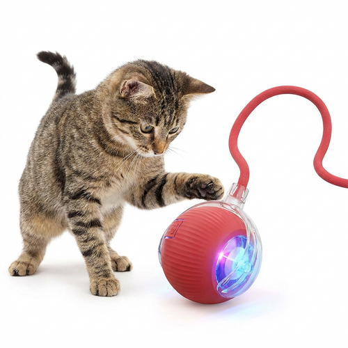 The Automatic Cat Toy